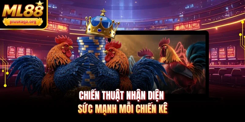 Chiến thuật nhận diện sức mạnh mỗi chiến kê