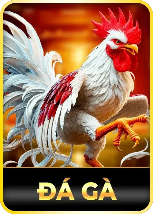 Đá gà ML88