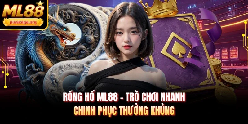 Rồng Hổ